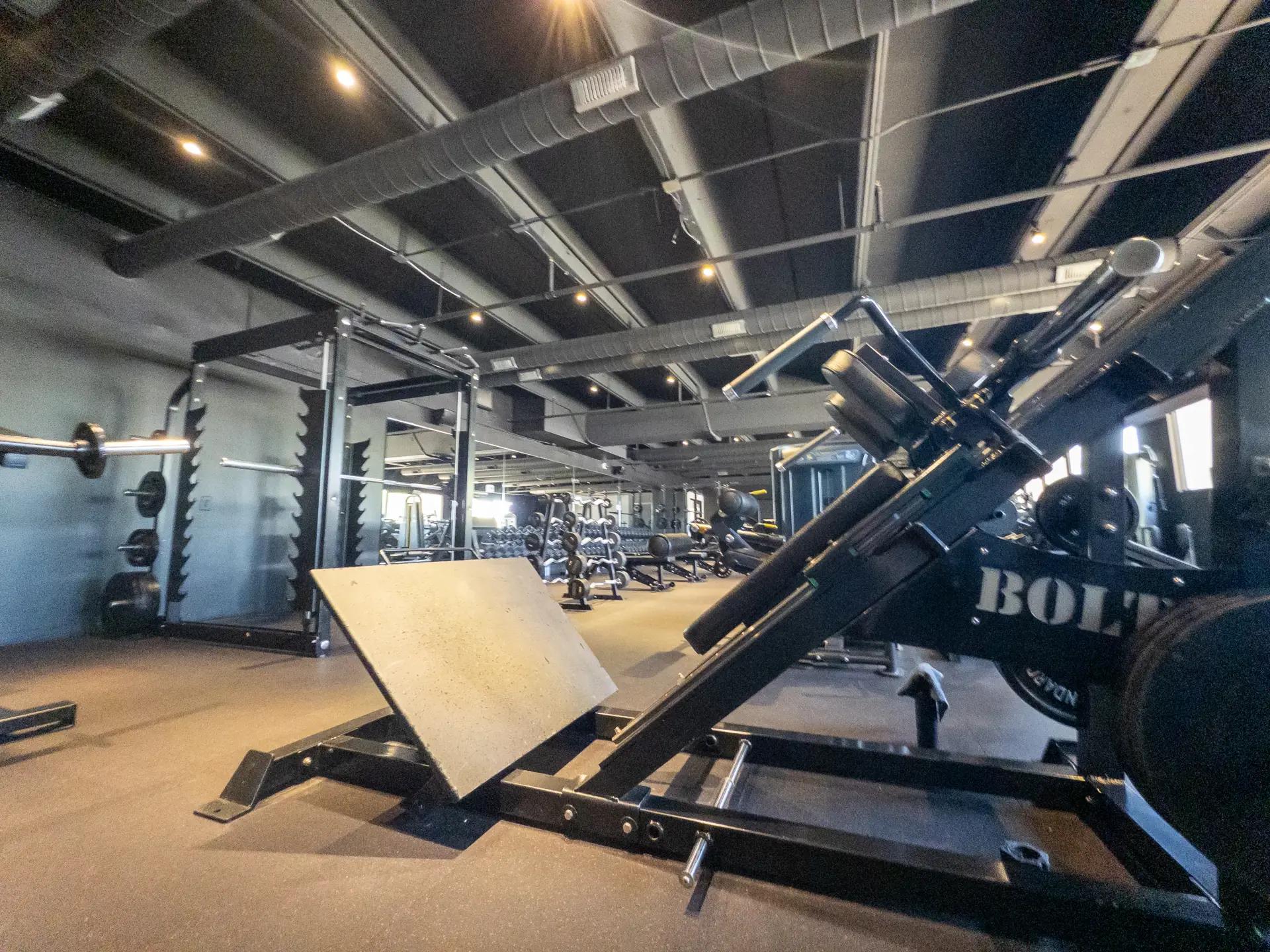 The Vault Gym Equipment