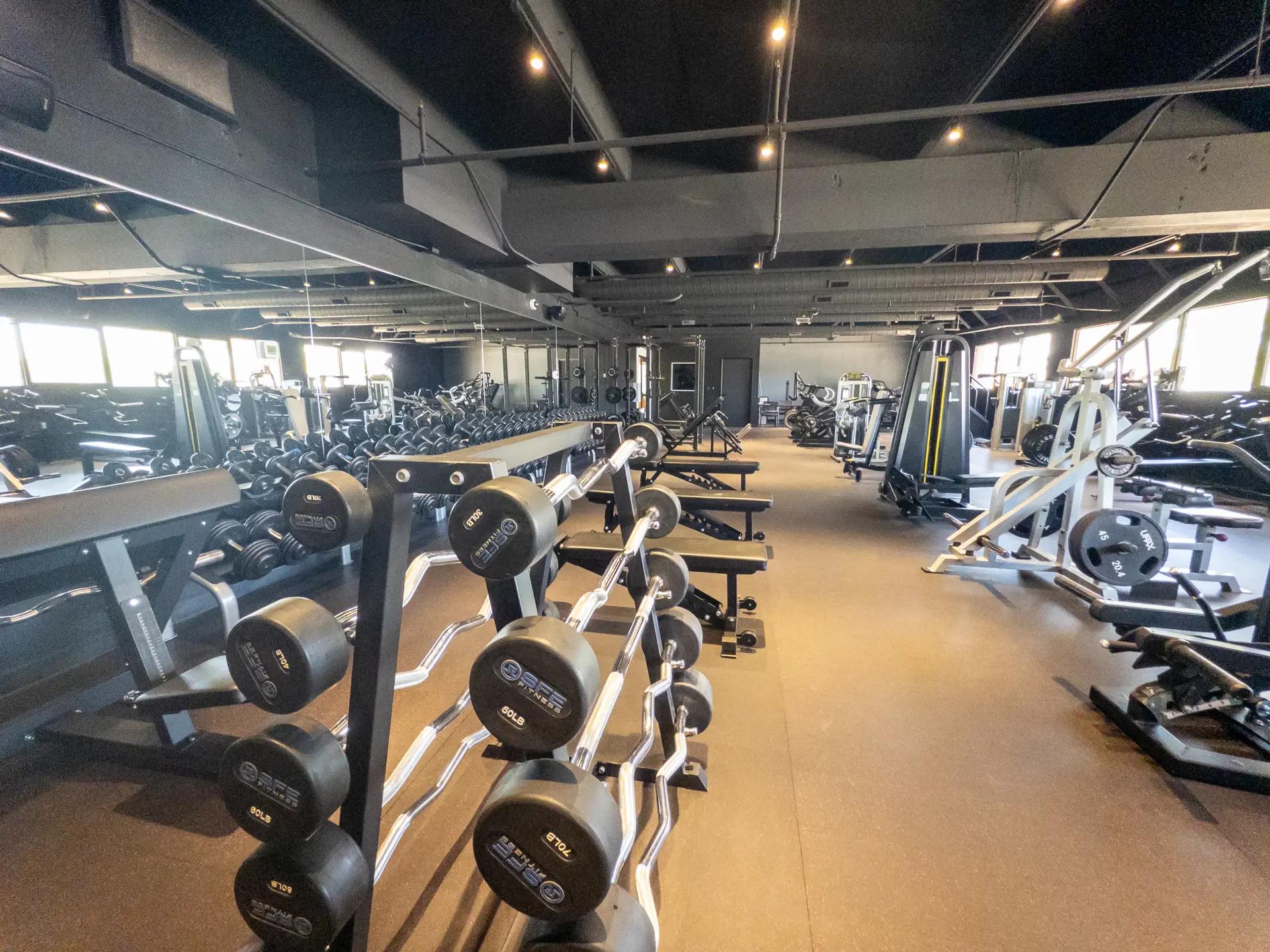 The Vault Gym Cardio Equipment