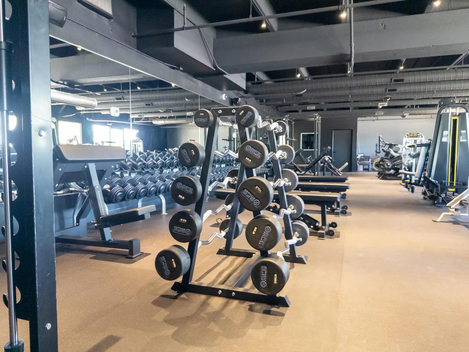 The Vault Gym Weights