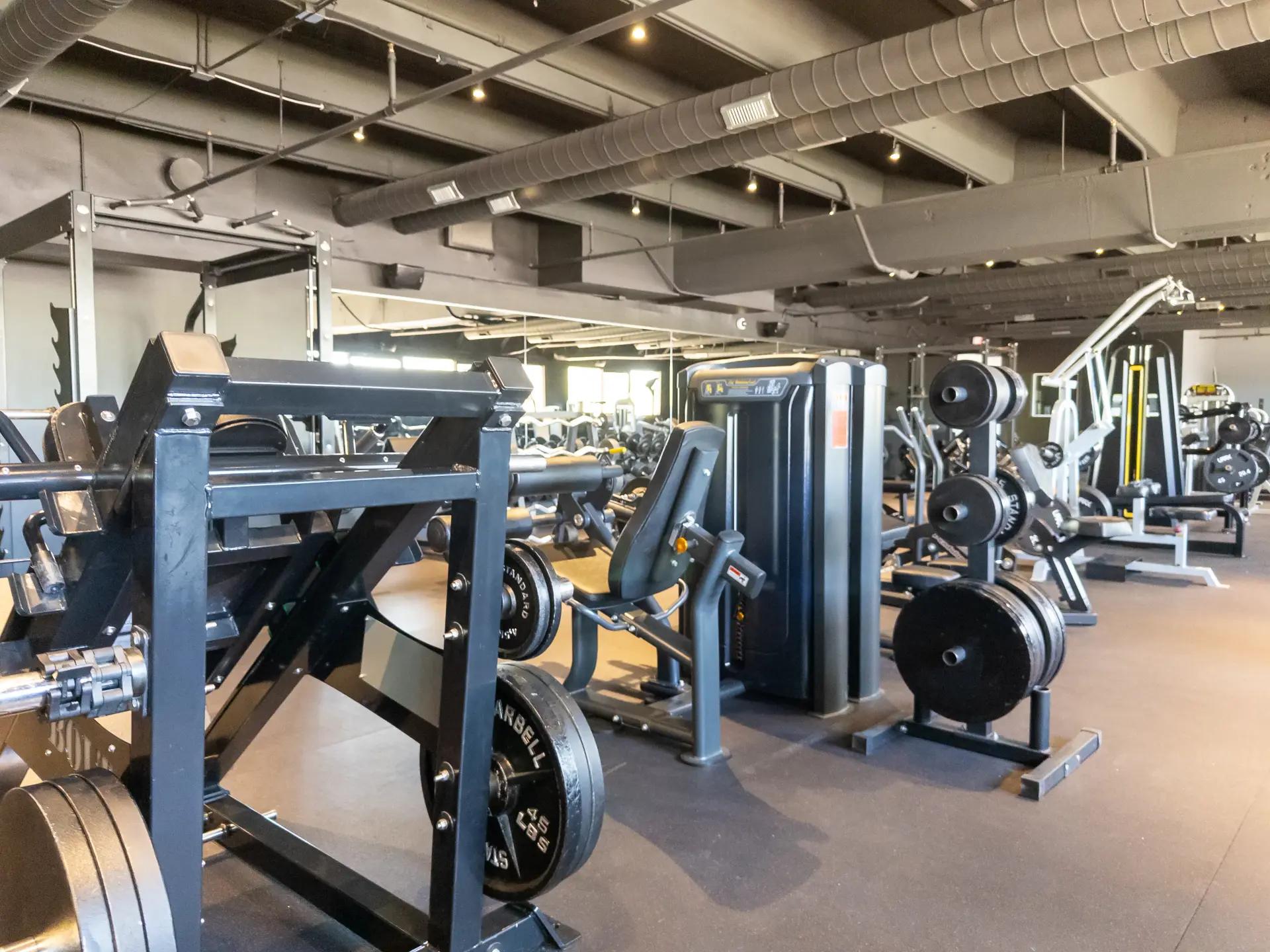 The Vault Gym Strength Training